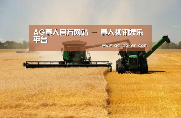产品名称八(图1)