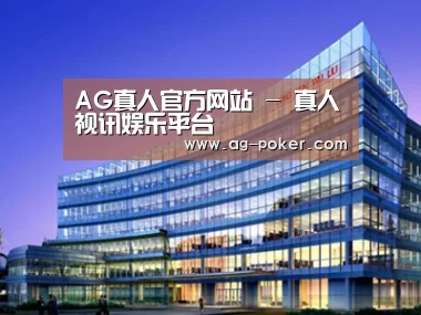 案例展示五