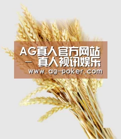 AG真人官方网站 - 真人视讯娱乐平台