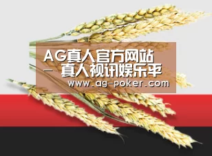 AG真人官方网站 - 真人视讯娱乐平台