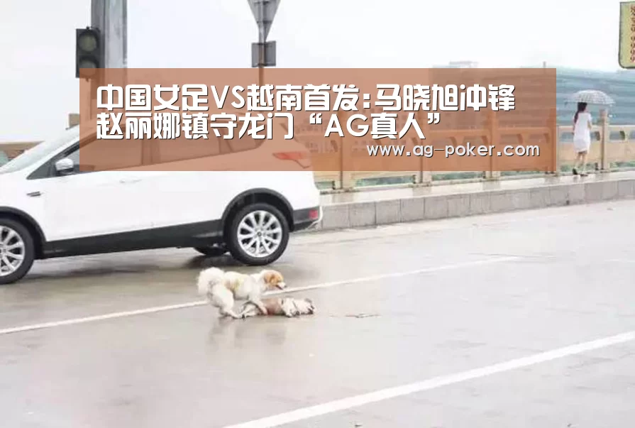 中国女足VS越南首发:马晓旭冲锋 赵丽娜镇守龙门“AG真人”(图1) AG官网
