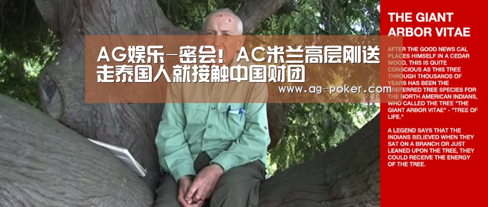 AG娱乐
